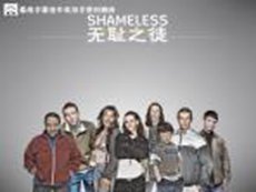 无耻之徒(英版)第四季