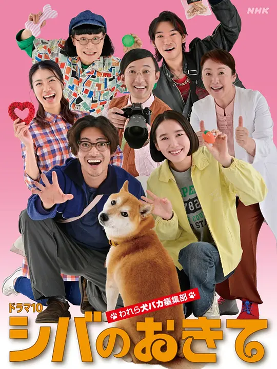 柴犬的规矩~我们这群狗痴编辑部~